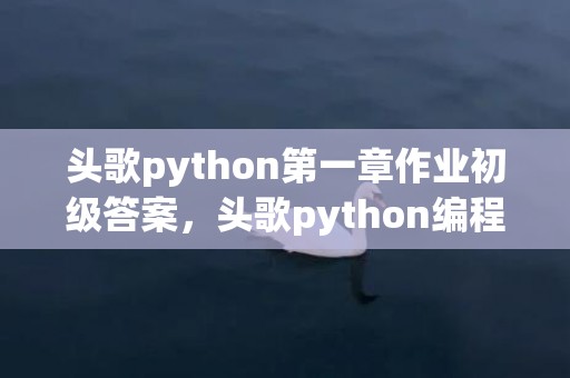 头歌python第一章作业初级答案，头歌python编程逐级进阶2