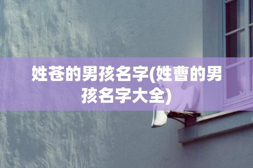 姓苍的男孩名字(姓曹的男孩名字大全)