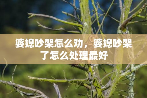 婆媳吵架怎么劝，婆媳吵架了怎么处理最好