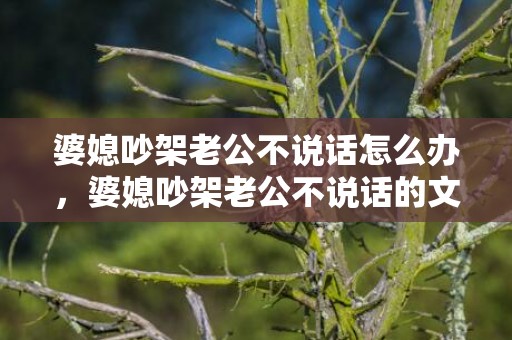 婆媳吵架老公不说话怎么办，婆媳吵架老公不说话的文案