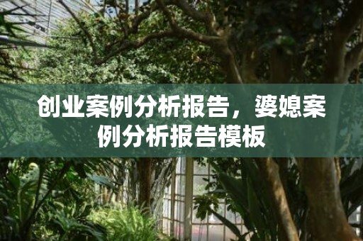 创业案例分析报告，婆媳案例分析报告模板