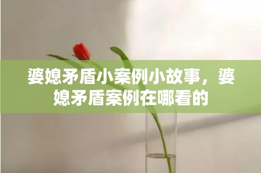 婆媳矛盾小案例小故事，婆媳矛盾案例在哪看的