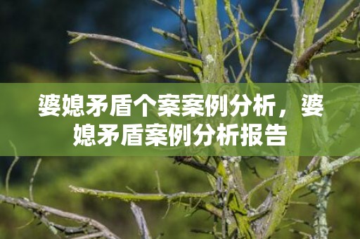 婆媳矛盾个案案例分析，婆媳矛盾案例分析报告