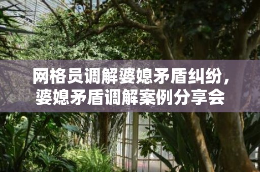 网格员调解婆媳矛盾纠纷，婆媳矛盾调解案例分享会