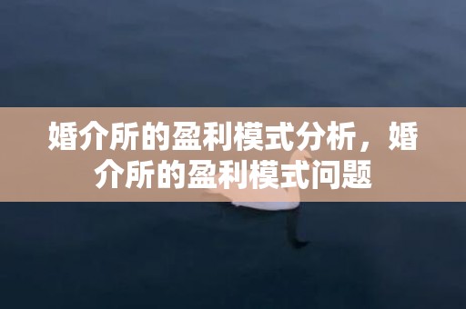 婚介所的盈利模式分析，婚介所的盈利模式问题