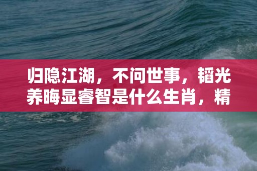 归隐江湖，不问世事，韬光养晦显睿智是什么生肖，精准解释落实