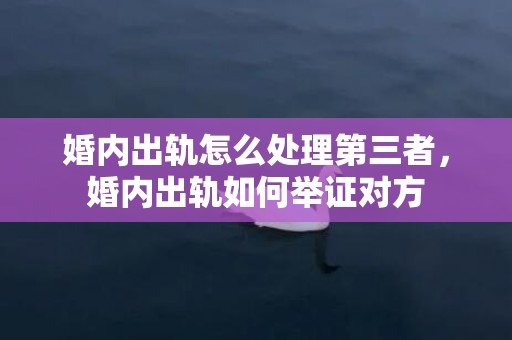 婚内出轨怎么处理第三者，婚内出轨如何举证对方