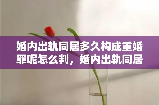 婚内出轨同居多久构成重婚罪呢怎么判，婚内出轨同居多久法律责任