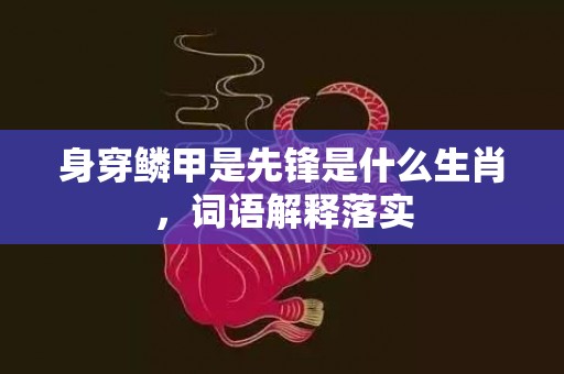 身穿鳞甲是先锋是什么生肖，词语解释落实