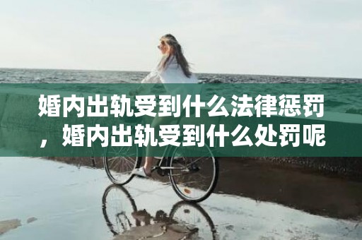 婚内出轨受到什么法律惩罚，婚内出轨受到什么处罚呢