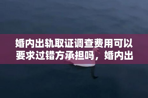 婚内出轨取证调查费用可以要求过错方承担吗，婚内出轨取证调查怎么写