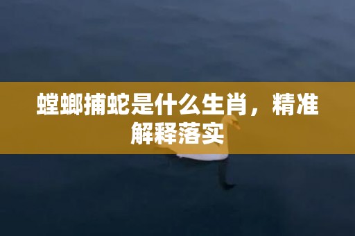 螳螂捕蛇是什么生肖，精准解释落实