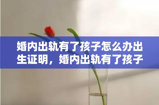 婚内出轨有了孩子怎么办出生证明，婚内出轨有了孩子算重婚吗