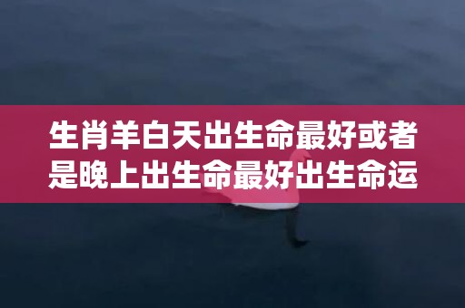 生肖羊白天出生命最好或者是晚上出生命最好出生命运分析(生肖羊后半生命运)