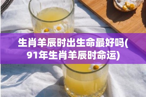 生肖羊辰时出生命最好吗(91年生肖羊辰时命运)