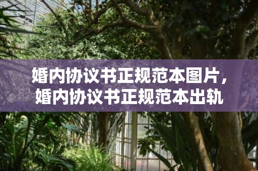 婚内协议书正规范本图片，婚内协议书正规范本出轨