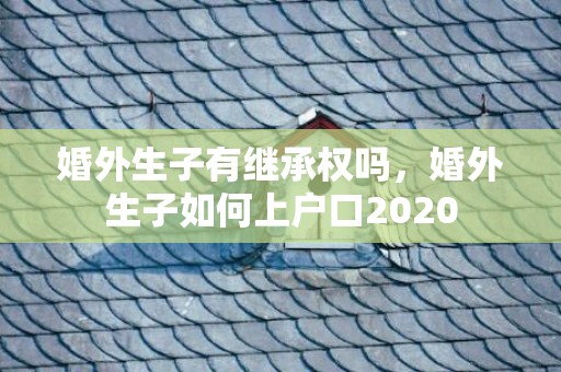 婚外生子有继承权吗，婚外生子如何上户口2020