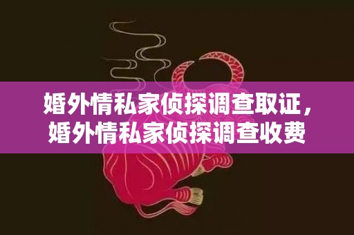 婚外情私家侦探调查取证，婚外情私家侦探调查收费