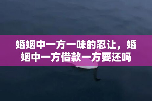 婚姻中一方一味的忍让，婚姻中一方借款一方要还吗