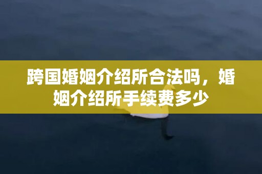 跨国婚姻介绍所合法吗，婚姻介绍所手续费多少