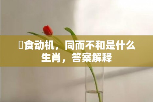 揾食动机，同而不和是什么生肖，答案解释