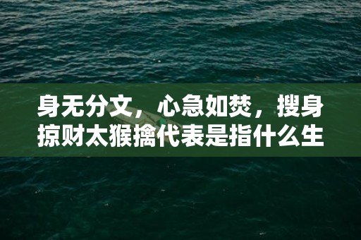 身无分文，心急如焚，搜身掠财太猴擒代表是指什么生肖，精准快答落实