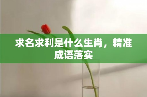 求名求利是什么生肖，精准成语落实