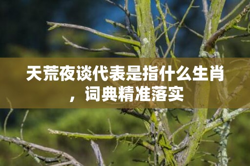 天荒夜谈代表是指什么生肖，词典精准落实