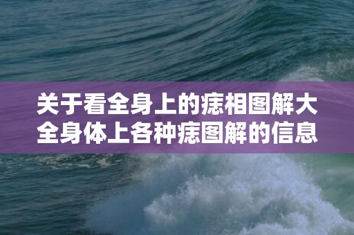 关于看全身上的痣相图解大全身体上各种痣图解的信息