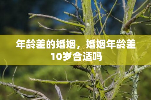 年龄差的婚姻，婚姻年龄差10岁合适吗