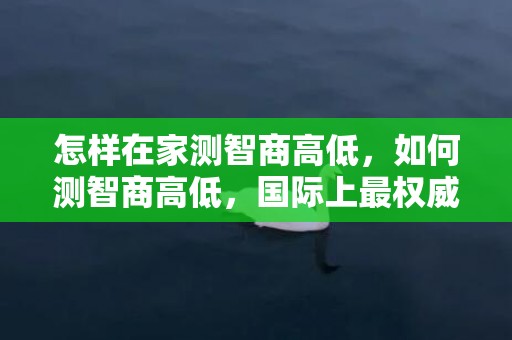 怎样在家测智商高低，如何测智商高低，国际上最权威的智力测量