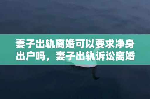 妻子出轨离婚可以要求净身出户吗，妻子出轨诉讼离婚怎么办呢