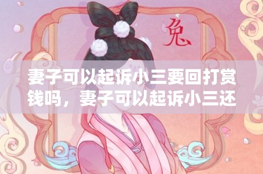 妻子可以起诉小三要回打赏钱吗，妻子可以起诉小三还钱吗