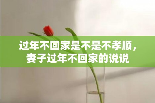 过年不回家是不是不孝顺，妻子过年不回家的说说