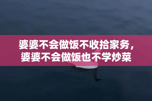 婆婆不会做饭不收拾家务，婆婆不会做饭也不学炒菜