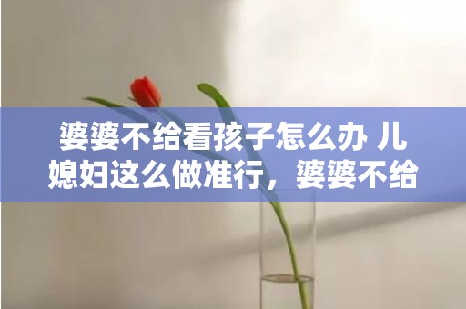 婆婆不给看孩子怎么办 儿媳妇这么做准行，婆婆不给看孩子怎么办