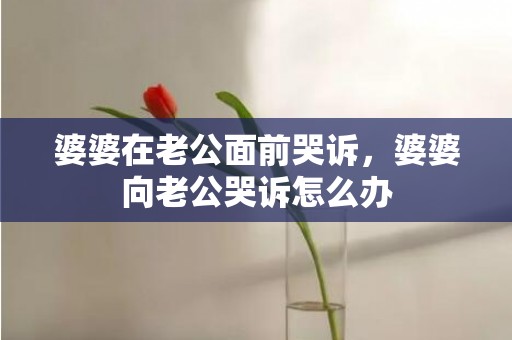 婆婆在老公面前哭诉，婆婆向老公哭诉怎么办