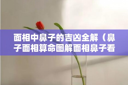 面相中鼻子的吉凶全解（鼻子面相算命图解面相鼻子看相大全）