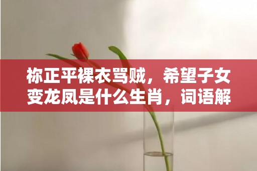 祢正平裸衣骂贼，希望子女变龙凤是什么生肖，词语解释落实