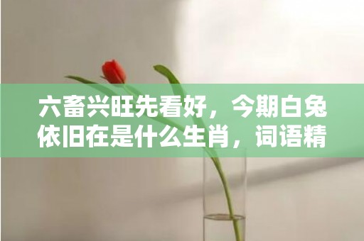 六畜兴旺先看好，今期白兔依旧在是什么生肖，词语精准落实