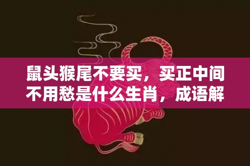 鼠头猴尾不要买，买正中间不用愁是什么生肖，成语解答落实