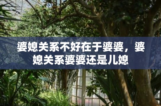 婆媳关系不好在于婆婆，婆媳关系婆婆还是儿媳