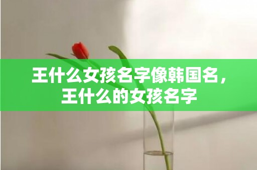 王什么女孩名字像韩国名，王什么的女孩名字