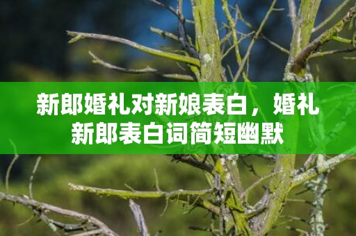 新郎婚礼对新娘表白，婚礼新郎表白词简短幽默