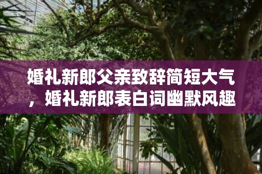 婚礼新郎父亲致辞简短大气，婚礼新郎表白词幽默风趣