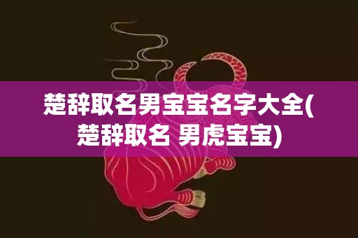 楚辞取名男宝宝名字大全(楚辞取名 男虎宝宝)