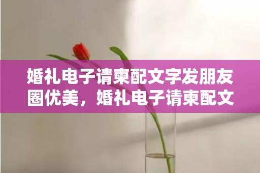 婚礼电子请柬配文字发朋友圈优美，婚礼电子请柬配文简短