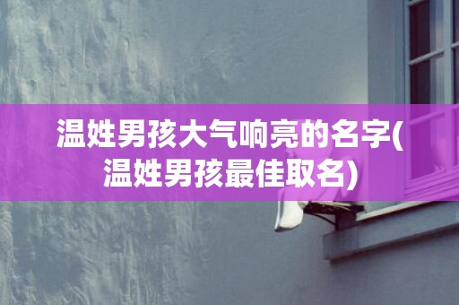 温姓男孩大气响亮的名字(温姓男孩最佳取名)