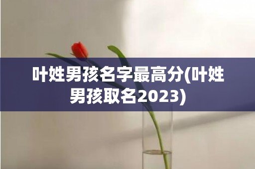 叶姓男孩名字最高分(叶姓男孩取名2023)