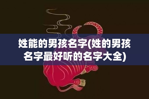 姓能的男孩名字(姓的男孩名字最好听的名字大全)